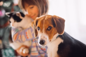 Modalidades de Relocação Internacional de Cães e Gatos: Evolução Operacional, Aspectos Logísticos e Tendências do Transporte Acompanhado Profissional